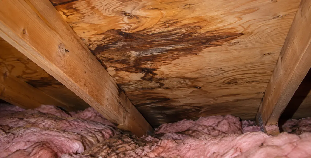 Roof sheathing and insulation in low attic